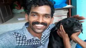 Kerala court initiates animal rights PIL after dog killed by 3, names it  after 'Bruno'