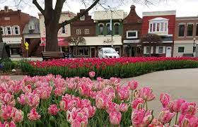 Personal touch provided by heritage tours in yoder kansas. Pella Tulip Time May Showers Bring Plenty Of Flowers Iowa Source