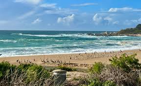 Scenic Rd, Carmel River Lagoon & Beaches — Bridge to Everywhere