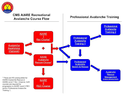 Which Avalanche Training Course Is Right For Me Aiare Flow