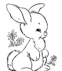 Sketsa gambar hewan merupakan gambaran kasar dari gambar hewan yang biasanya berupa garis yang belum selesai atau belum diberi warna. Paling Populer 22 Gambar Kartun Hitam Putih Hewan 7 Jenis Gambar Kelinci Lengkap Gambar Pem Animal Coloring Pages Cute Coloring Pages Easter Bunny Colouring