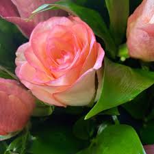 Hāʻawi i ka Basket me nā pua Basket "Power of love" ma Moscow