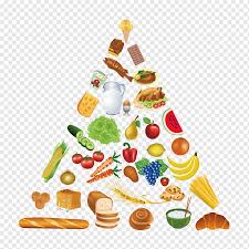 When it comes to your dog's diet, you want the best for his or her health. Food Pyramid Healthy Eating Pyramid Vegetables And Bread Food Tomato Nutrition Png Pngwing