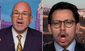 CNN interview erupts into chaos as host and DOGE expert get into shouting  match