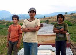 Martin altomaro is on facebook. La Jaula De Oro Nominada A Los Goya 2014 Enfilme Com