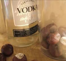 как приготовить настойку из цветков пиона в домашних условиях Kak Prigotovit Nastojku Kashtana V Domashnih Usloviyah Rybolovnyj Karavan