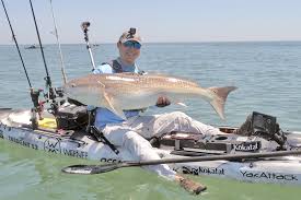 Plusinno has probably the best telescopic rod and reel combo in the market! Ultimate Guide To Fishing Red Drum On The East Coast Kayak Angler