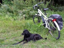 Courant lectrique dans les solutions type dactivitvaluationprogrammeconnaissances tous les mtaux conduisent le courant lectrique la conduction du courant lectrique dans les mtaux sinterprte par un dplacement dlectrons libres (particules charges mobiles) la conduction du courant. Top 3 Des Kits De Conversion De Velo Electrique Toutovelo