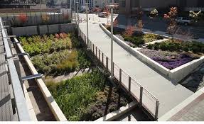 Urban Rain Garden By Insite Studio Paysagiste Jardin De Pluie Jardins