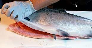 See full list on wikihow.com How To Fillet A Salmon Do It Yourself Alaska Fly Fishing Goods