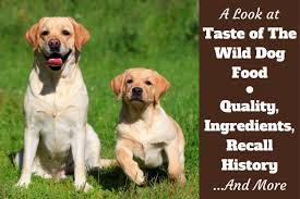 Taste Of The Wild Dog Food Reviews Recalls Ratings Our Honest Review