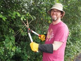 How's your overhang? Does your bush need a trim?