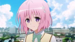 Anime girls with hair buns. Wallpaper To Love Ru Darkness Anime Girls Smile Pink Hair Bow Tie Depth Of Field Looking At Viewer Fringe Hair Peke Flower In Hair Short Hair City Pink Eyes Shadow Sky