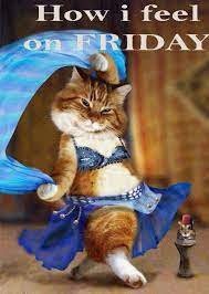 Happy Friday Cats Funny Animals Grumpy Cat