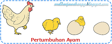 Inilah kunci jawaban buku tematik kelas 3 sd/mi tema 1 subtema 3 pembelajaran 1 halaman 99, 100, 101, 102, 105, dan 107 mengenai pertumbuhan hewan. Kunci Jawaban Buku Tematik Kelas 3 Tema 1 Subtema 3 Halaman 99 100 107 Soal Dan Jawaban