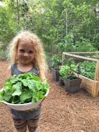 What is a community garden plot? What Is A Community Garden Cultivate Community Gardens