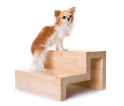 They may look like a minor obstacle to us, but they can look steep and you'll also have to practice regularly to gradually build up his confidence. How To Build Dog Stairs The Easy Way