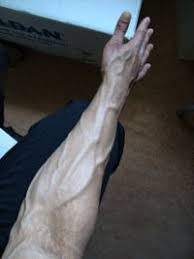 It's best to get under a sturdy. Forearm Simple English Wikipedia The Free Encyclopedia