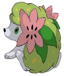 Maybe you would like to learn more about one of these? Shaymin The Flower Pokemon By Kingofanime Koa On Deviantart