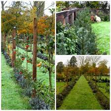 All that movement may leave behind teeny, tiny holes. Posts About Espaliered Fruit Trees On Peonies Posies Fruit Trees Garden Planning Espalier Fruit Trees