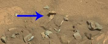 It shows the victoria crater on the surface of mars. This Human Bone Found On A Photo From Nasa On Mars Is Not New Here Is The True Story Fr24 News English