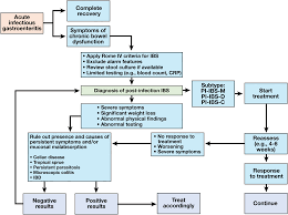 Rome Foundation Working Team Report On Post Infection Irritable Bowel Syndrome Gastroenterology