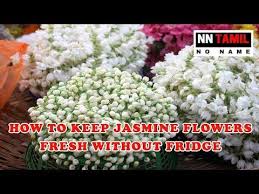 How to store flowers without fridge. Pin Di Thai Garland