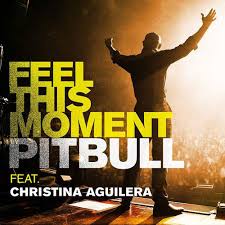 Pitbull feat. Christina Aguilera - Feel This Moment (SmallVer Remix Bootleg)