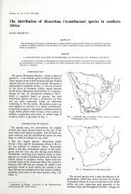 Image result for Pogonospermum divaricatum