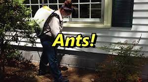 A clear commitment to excellence. Pest Control Service United States Crystal Pest Control Llc