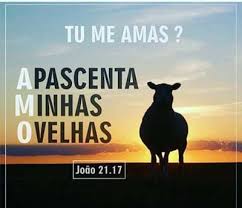 Resultado de imagem para PEDRO APASCENTA AS MINHAS OVELHAS