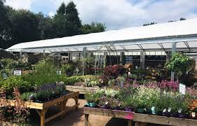 Towneley Garden Centre Canopy By Fordingbridge Plc