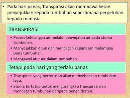 Bab 3 koordinasi dan gerak balas topik homeostasis dalam haiwan.#cikgootube#cikgooborneo#sainsf1#amirah#smkselirik#homeostasisdalambendahidup. Homeostasis Tumbuhan Lessons Blendspace