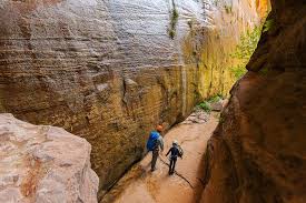 Departing from hotels on the las vegas strip, spend an entire day exploring these natural wonders. Book Your Zion Guru Tour Namastay