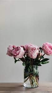 Check spelling or type a new query. Best Peony Iphone Hd Wallpapers Ilikewallpaper