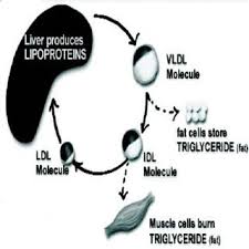 Check spelling or type a new query. Pdf School Science Ncert