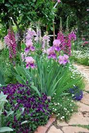 Purple Flower Garden We Have Bearded Irises And Digitalis For Your Springtime Garden Www Barnnursery Com Garten Pflanzen Garten Garten Bepflanzen