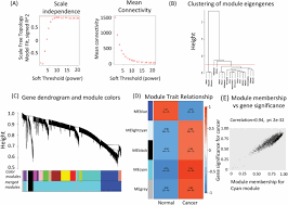 Cancer occurs when old cells do not die when they should or are damaged. Integrated Bioinformatic Analysis Identifies Ube2q1 As A Potential Prognostic Marker For High Grade Serous Ovarian Cancer Springerlink