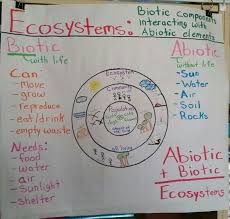 Ecosystems Biotic Vs Abiotic Anchor Chart Science Lessons 4th Grade Science Elementary Science