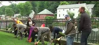Sic code show 1794, excavation work; Fppxybz1o7tpxm