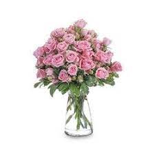 Maybe you would like to learn more about one of these? Pink Twinkle From Scott S House Of Flowers In Lawton Ok Flower Delivery New Baby Flowers Fresh Flower Delivery
