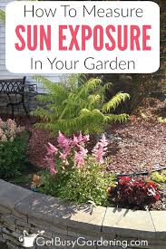 Affordable backyard landscape garden design 48. How To Determine Sun Exposure In Your Garden Get Busy Gardening