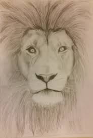 See more ideas about drawings, pencil drawings, art drawings. Pin On Studio Nature