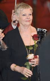 She made her professional debut in 1957 with the old vic company. The British Shop Blog Eine Grossartige Schauspielerin Judi Dench Wird 85