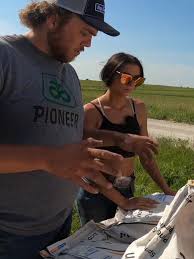 Planning Test Plots for Corn Varieties