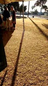 Get directions, store hours, and print deals at fedex office on 13637 n tatum blvd, phoenix, az, 85032. Roadrunner Park Farmers Market Home Facebook