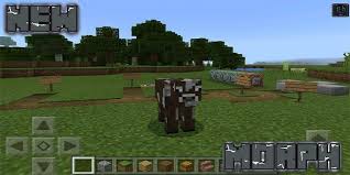 To open the gui of the morph mod simply press the m in the bottom right corner of the screen. Morph Mod For Minecraft Pe