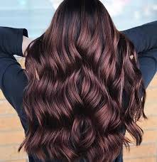 Barbee's natural hair colour : Cherry Black Hair Colors Styles Matrix