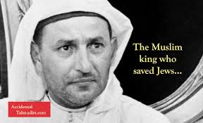 Profile for Accidental Talmudist