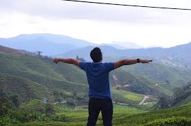 Di cameron highland ini memang terkenal dengan laang teh yang luas di kaki bukit dan disinilah teh yang anda minum di rumah terhasil. 22 Perkara Dan Tip Yang Ingin Aku Kongsikan Semasa Bercuti Di Cameron Highland